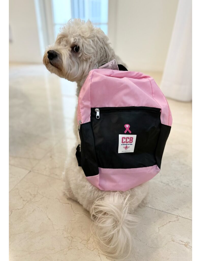 Dash the dog wearing the CCB backpack